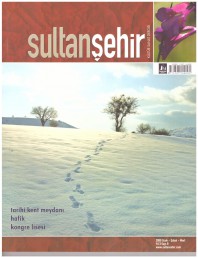 9 Sultanşehir