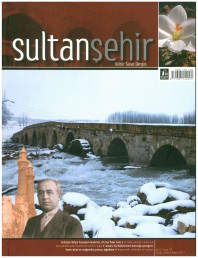 12 Sultanşehir