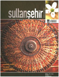 10 Sultanşehir