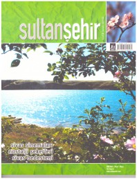 6 Sultanşehir