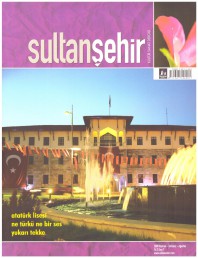 7 Sultanşehir