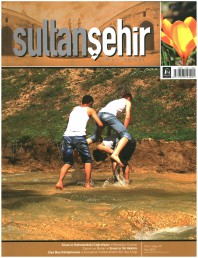15 Sultanşehir