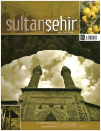 13 Sultanşehir