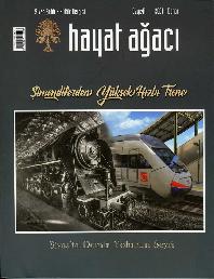 41