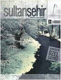 17 Sultanşehir